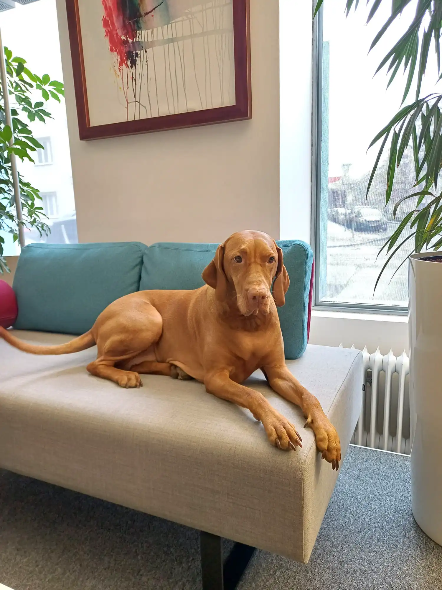 Team-Motivation & Pausenmanagement bei Schweiger & Partner Gebäudereinigung